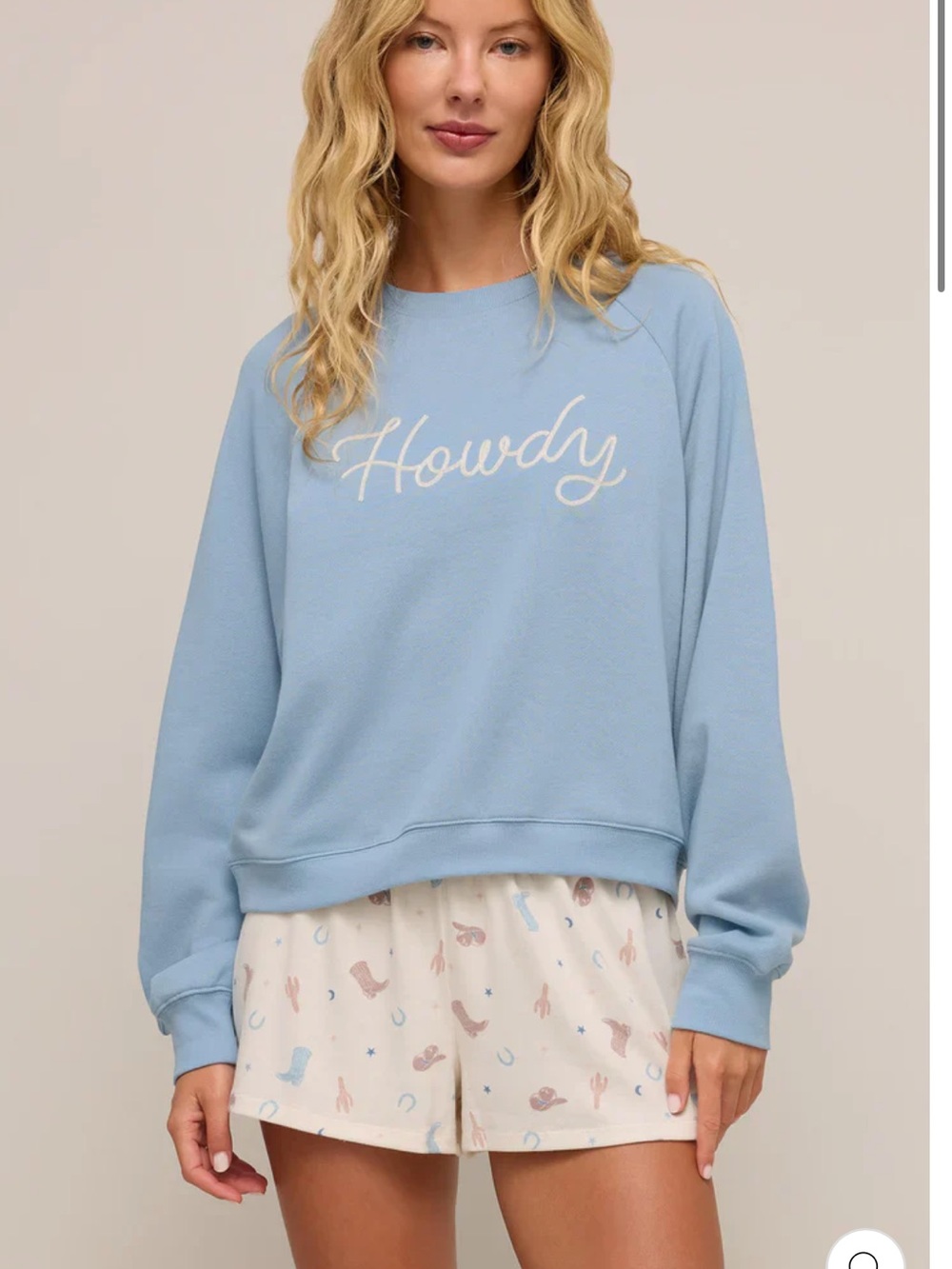 Z SUPPLY Coastal Blue Howdy Pullover - Picture 1 of 7